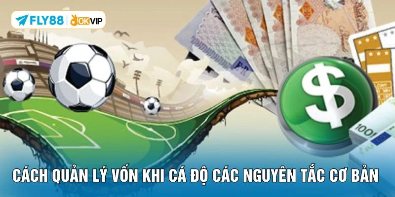Cách quản lý vốn khi cá độ các nguyên tắc cơ bản 